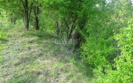 Grunt leśny na  sprzedaż Radoszki - NOWA,NIŻSZA CENA.w pobliżu jeziora.